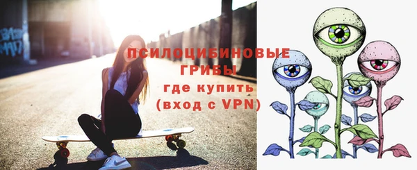 apvp Алексин